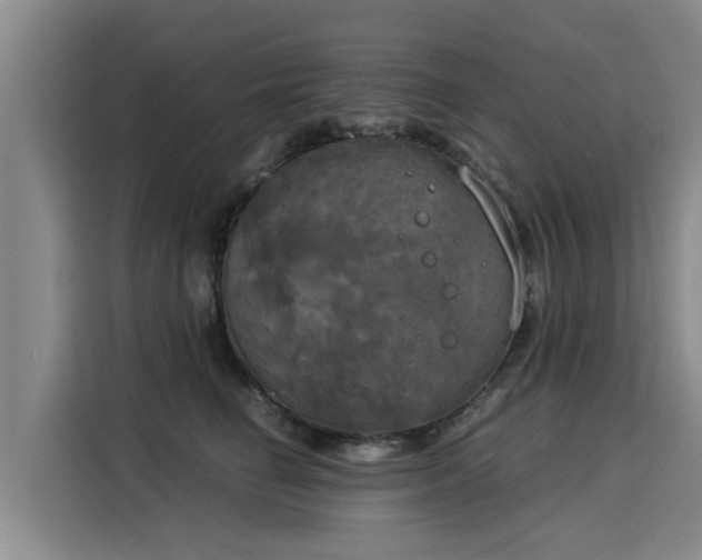 X0000116050662200911271219