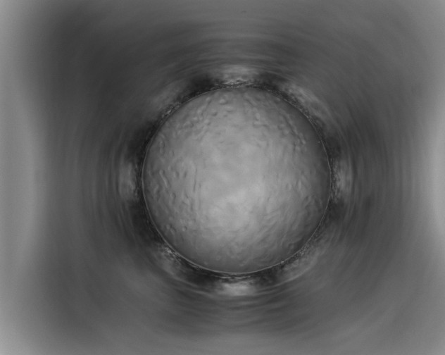 X0000116050667200911271219