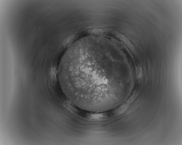 X0000116050669200911271219