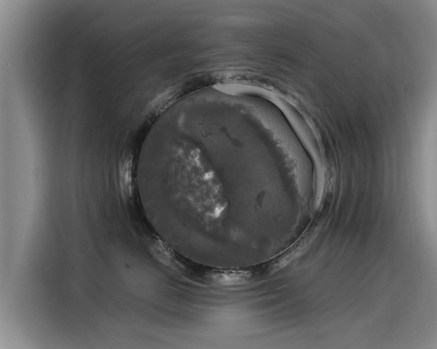 X0000116050670200911271219
