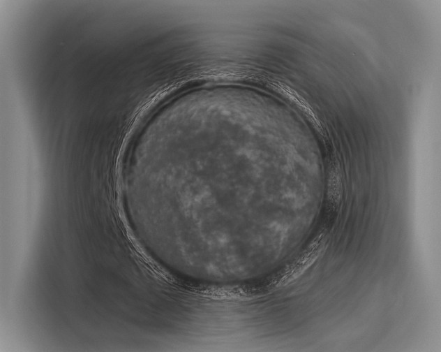 X0000116050673200911271218
