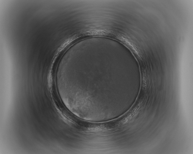 X0000116050674200911271218