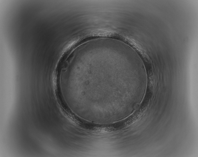 X0000116050679200911271218