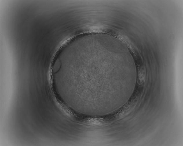 X0000116050680200911271218