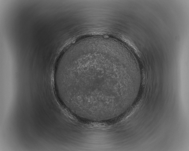 X0000116050681200911271218