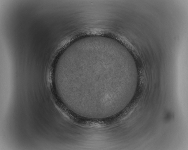 X0000116050683200911271218