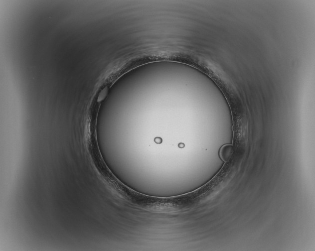 X0000116050685200911271218