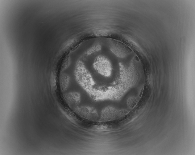 X0000116050687200911271218