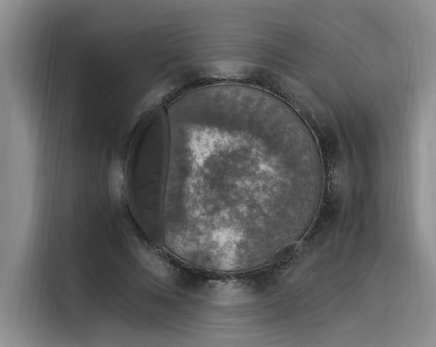 X0000116050688200911271218