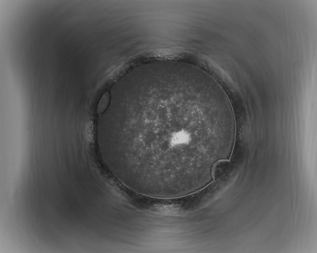 X0000116050689200911271218