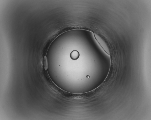 X0000116050692200911271218