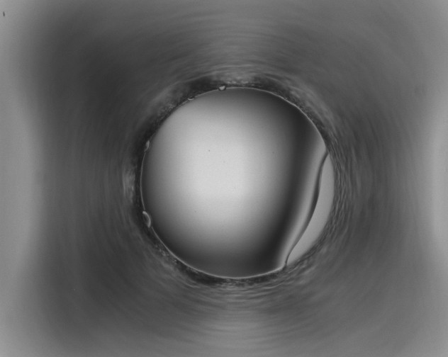 X0000116050697200911271218