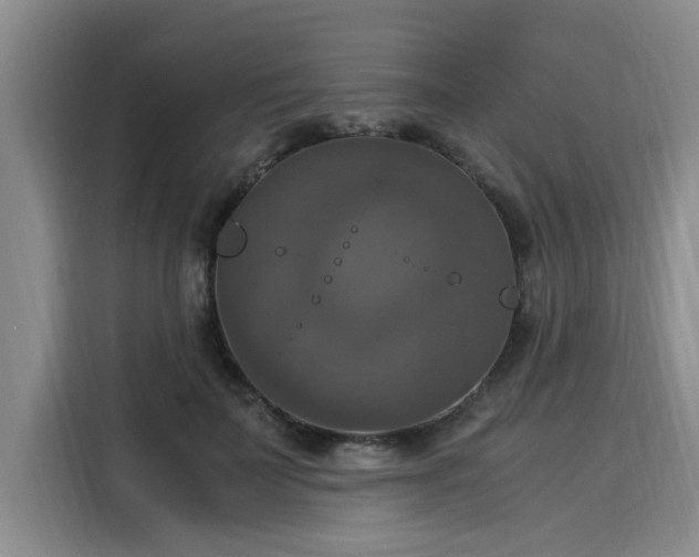X0000116050699200911271218