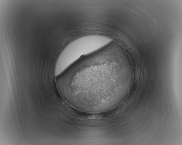 X0000116050700200911271218