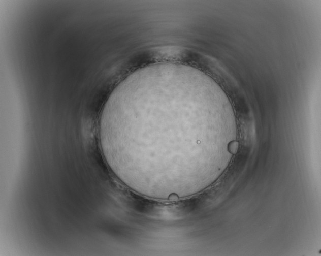 X0000116050701200911271218