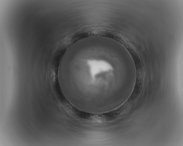 X0000116050703200911271218