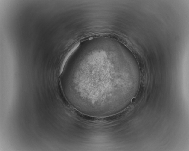 X0000116050704200911271218