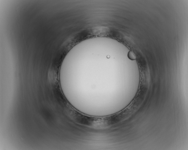 X0000116050705200911271218