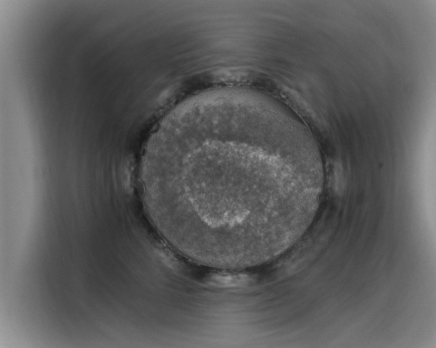X0000116050712200911271218