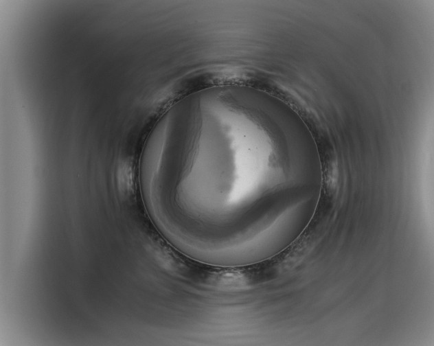 X0000116050715200911271218