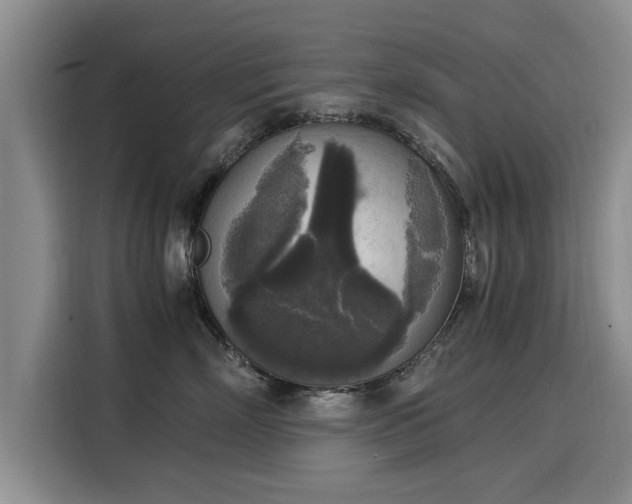 X0000116050718200911271218