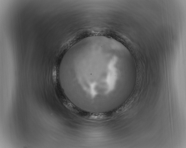 X0000116050720200911271218