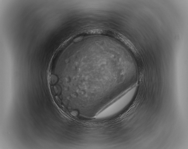 X0000116050722200911271217