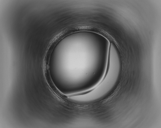 X0000116050725200911271217