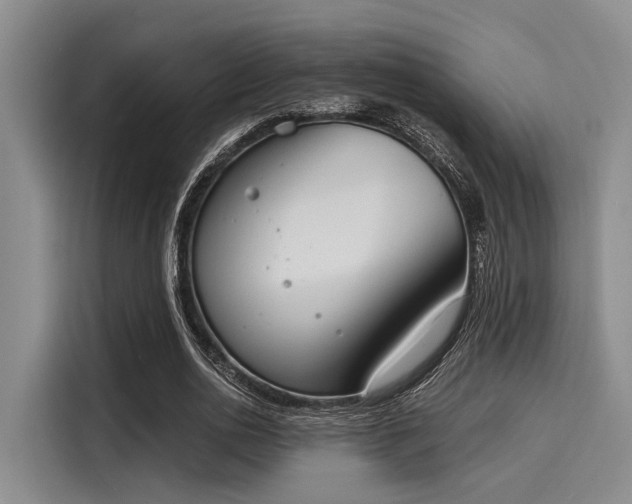 X0000116050726200911271217