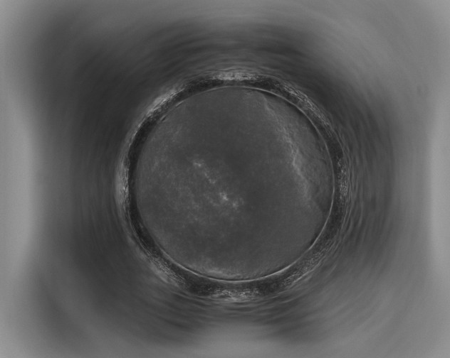 X0000116050727200911271217