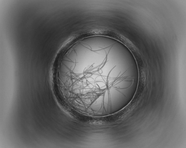 X0000116050730200911271217