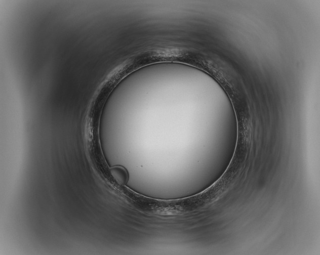 X0000116050731200911271217