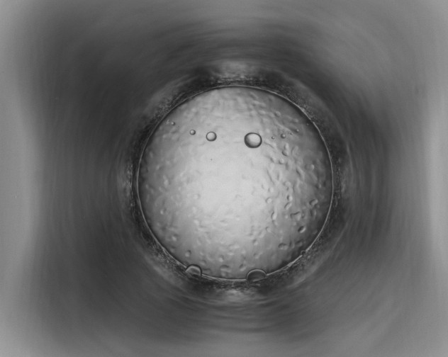 X0000116050737200911271217
