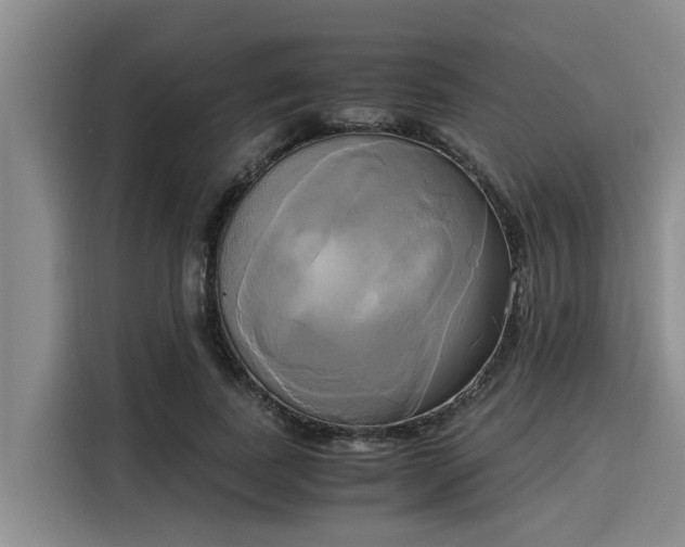 X0000116050739200911271217