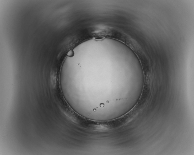 X0000116050741200911271218