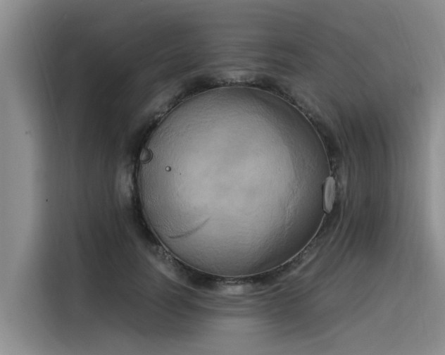 X0000116050746200911271218