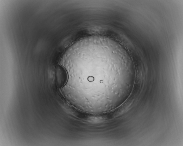X0000116050749200911271218