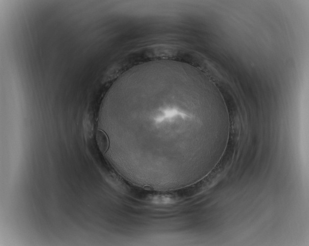 X0000116050751200911271218