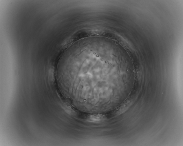X0000116050757200911271218