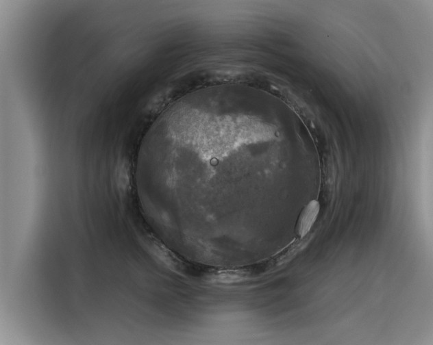 X0000116050758200911271218