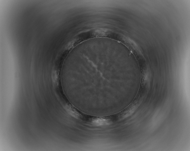 X0000116050759200911271218