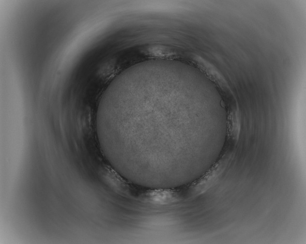 X0000116050762200911271218