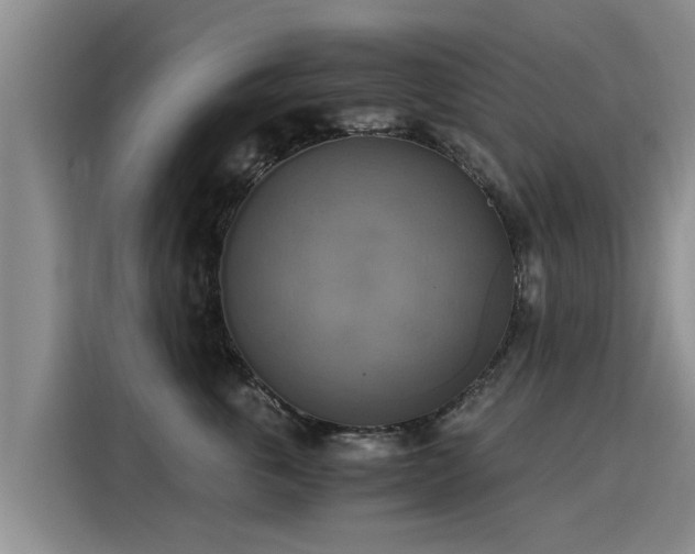 X0000116050763200911271218