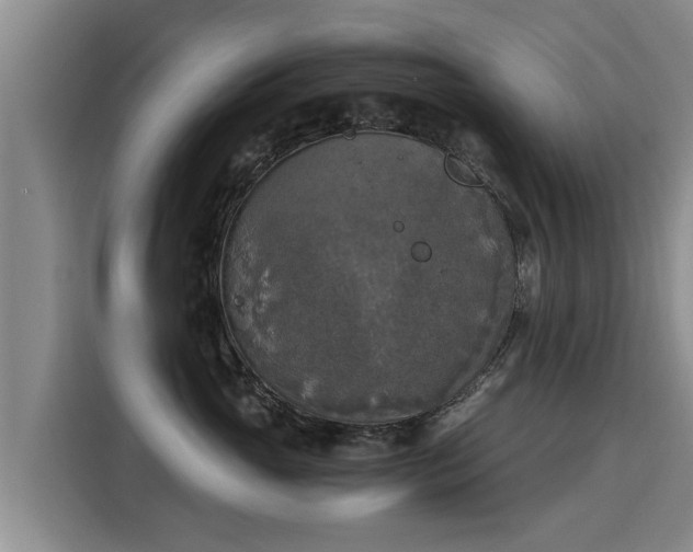 X0000116050765200911271218