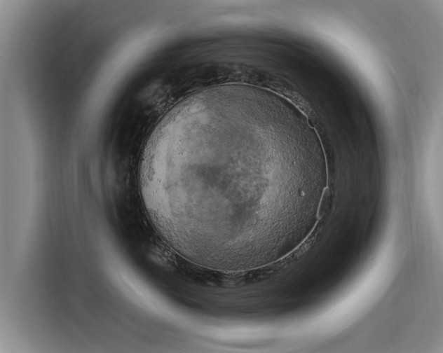 X0000116050766200911271218