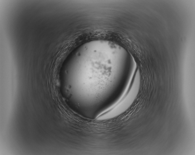 X0000116050769200911271217