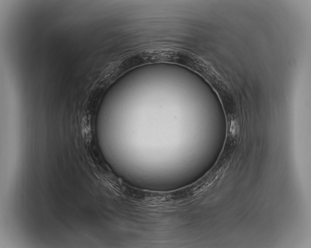 X0000116050771200911271217