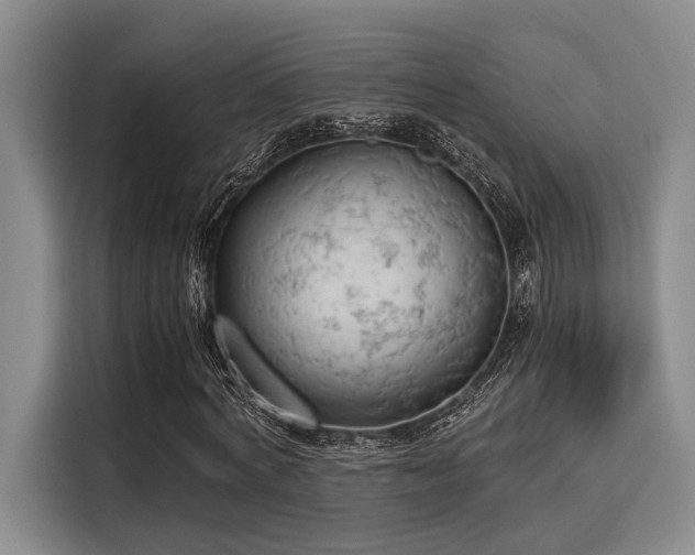X0000116050772200911271217