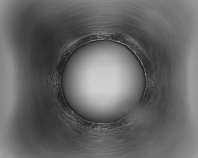 X0000116050773200911271217