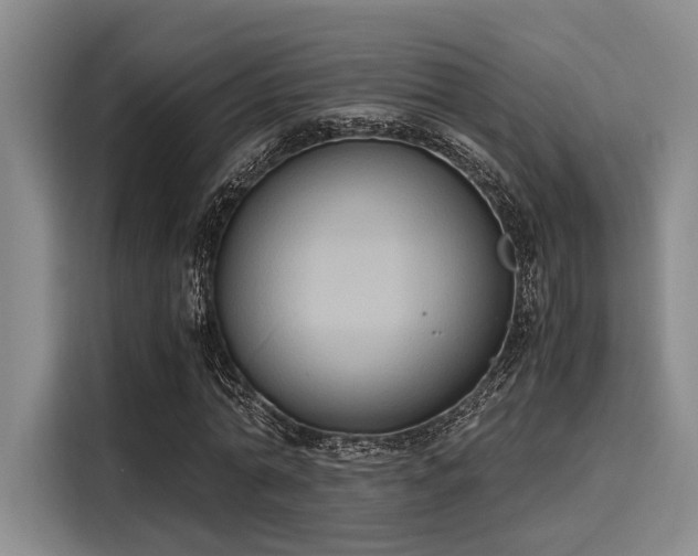 X0000116050774200911271217
